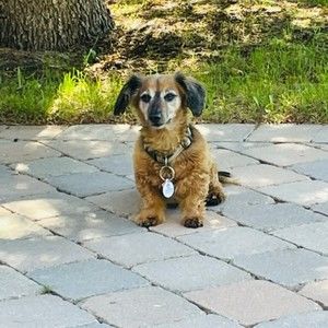 Meet your Posher, Jeana